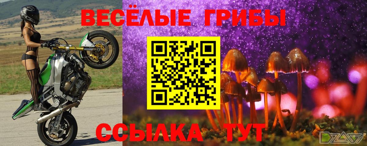 Псилоцибиновые грибы мицелий  Вход с VPN  Бугуруслан 