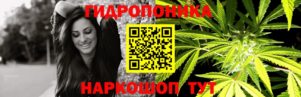 Бошки марихуана гибрид Бугуруслан